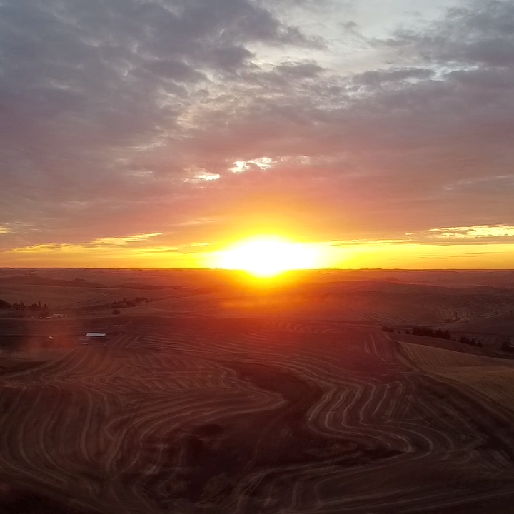Sunset in Pullman, WA