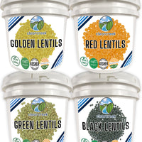 Dry Lentils Long Term Food Storage