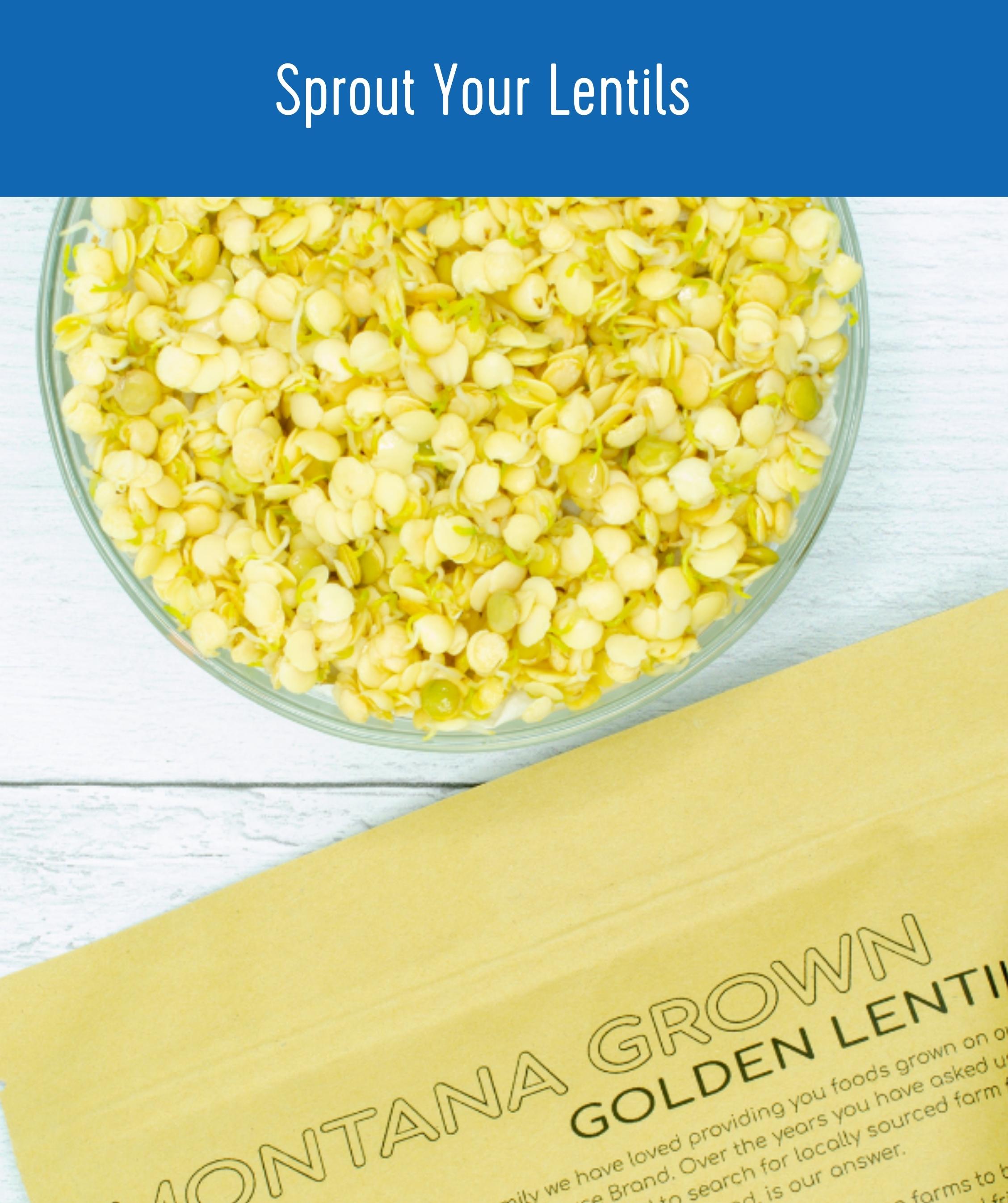 Sprout Yellow Lentils