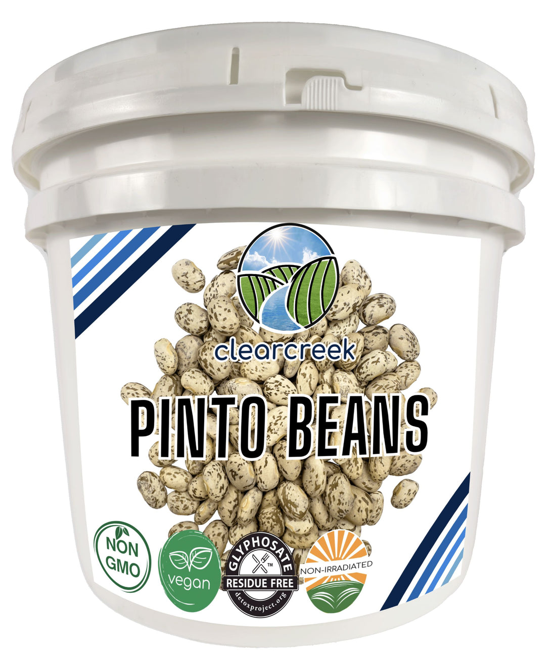 Pinto Beans Long Term Storage Bucket
