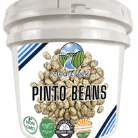 Pinto Beans Long Term Storage Bucket