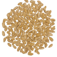 Dry Spelt Berries