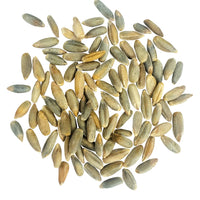 Rye Berries
