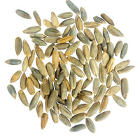 Rye Berries Locally Grown