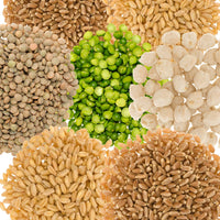 Family Farmed Dry Grains and Legumes