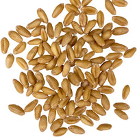 Soft white wheat berries