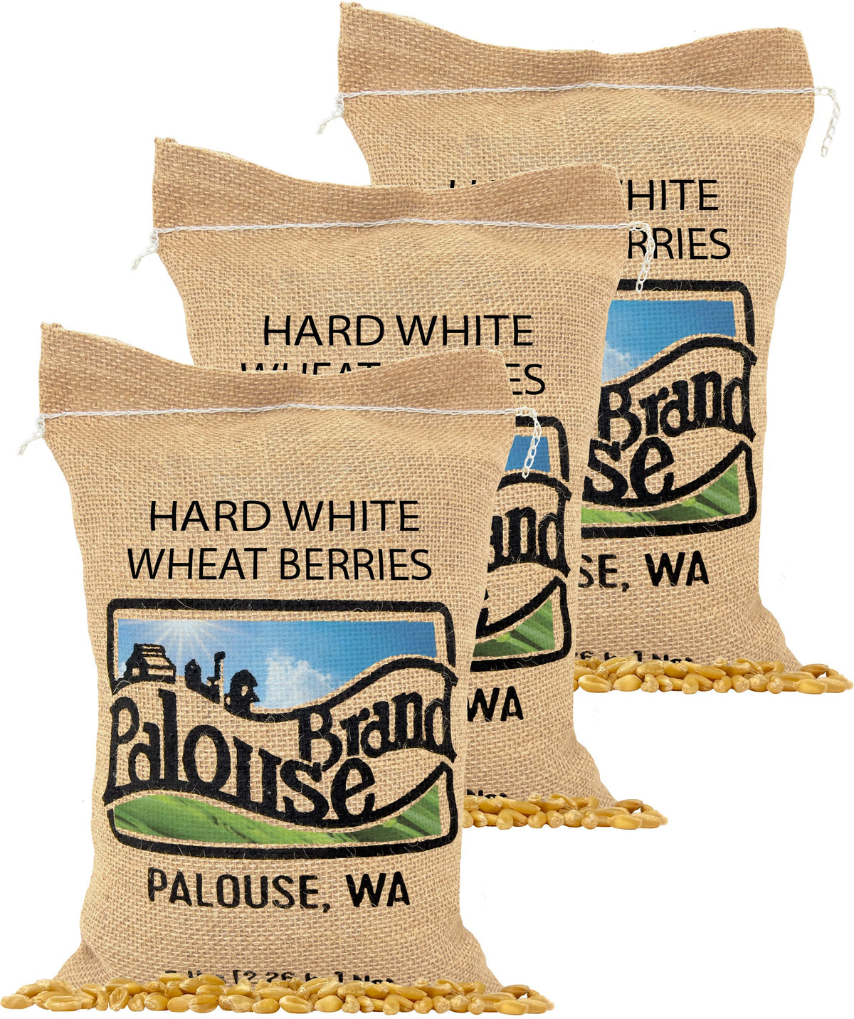 Hard White Wheat Berries 15 lbs