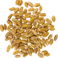 Hard White Wheat Berries