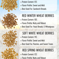 Wheat Berries Comparison