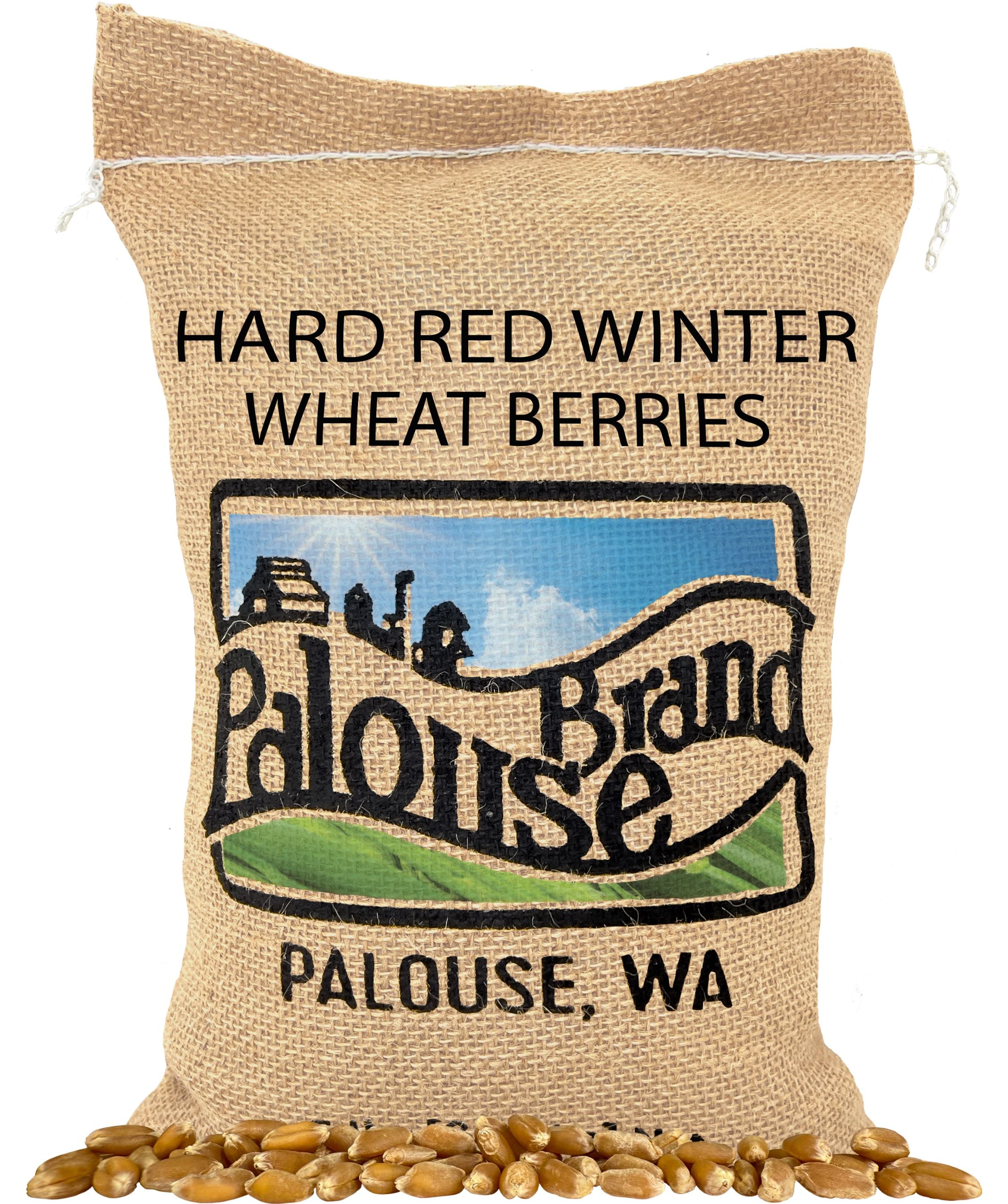 5 lb Red Winter Wheat Berries