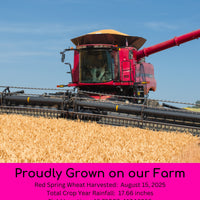 Red Spring Wheat 2025 Field Trace