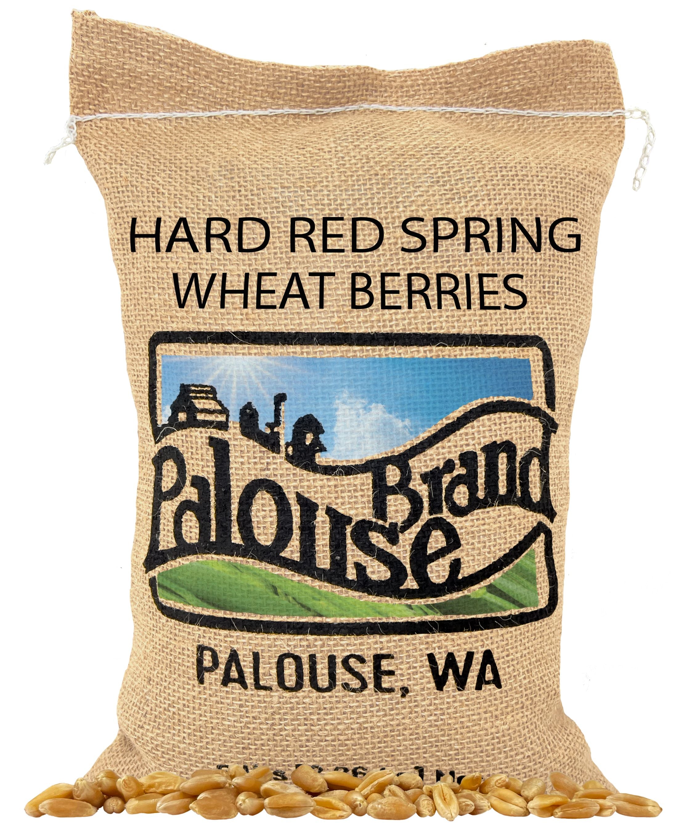 red spring wheat berries 5 lb burlap bag