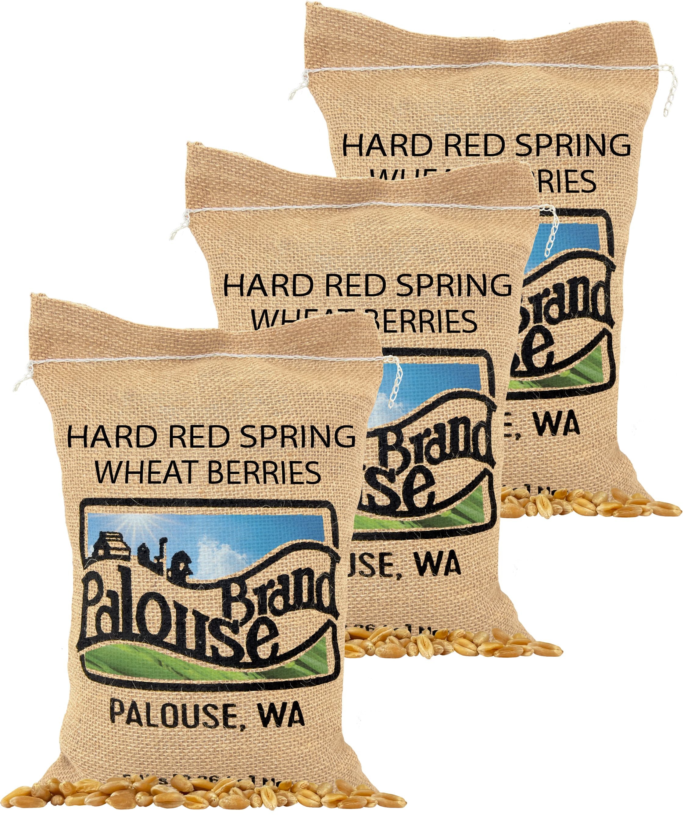 Certified Glyphosate Residue Free | Hard Red Spring Wheat Berries