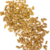 Starter Baking Bundle | 6 LB