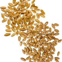 soft white wheat berries,red spring wheat berries