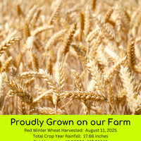 red winter wheat 2025 field trace