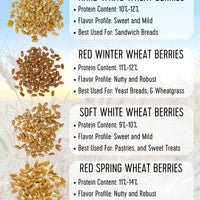 wheat berries comparison