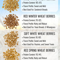 Wheat berries comparison