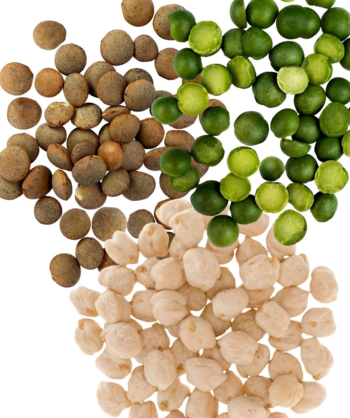 Dry Beans,Dry Lentils,Dry Peas