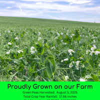 Green Split Peas 2025 Field TRace