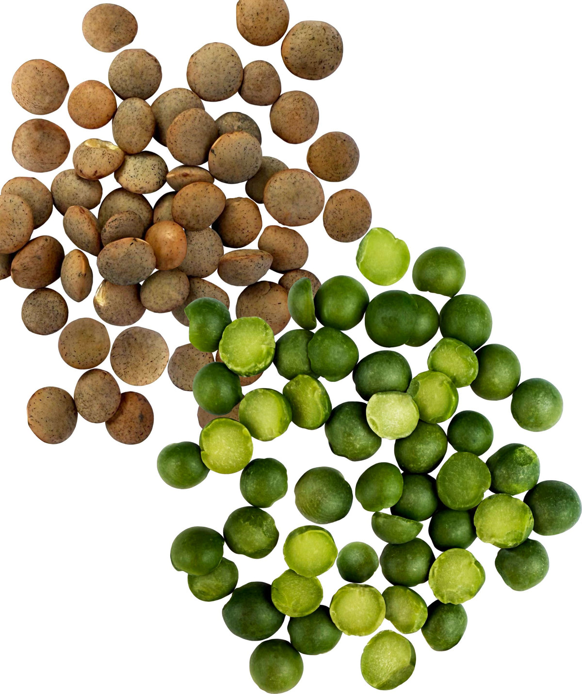 Dry Lentils,Dry Peas