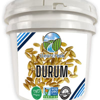 Long Term Storage Durum Wheat Berries