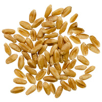 Hard Red Spring Wheat Berries | 10 lb (2 × 5 lb) | Certified Glyphosate Residue Free - Value Pack