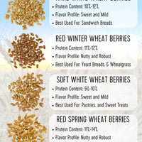 Hard Red Spring Wheat Berries | 10 lb (2 × 5 lb) | Certified Glyphosate Residue Free - Value Pack