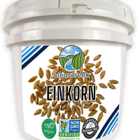 Einkorn Wheat Berries Airtight Storage