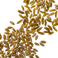 Ancient Grains Bulk