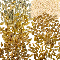 Variety Grains