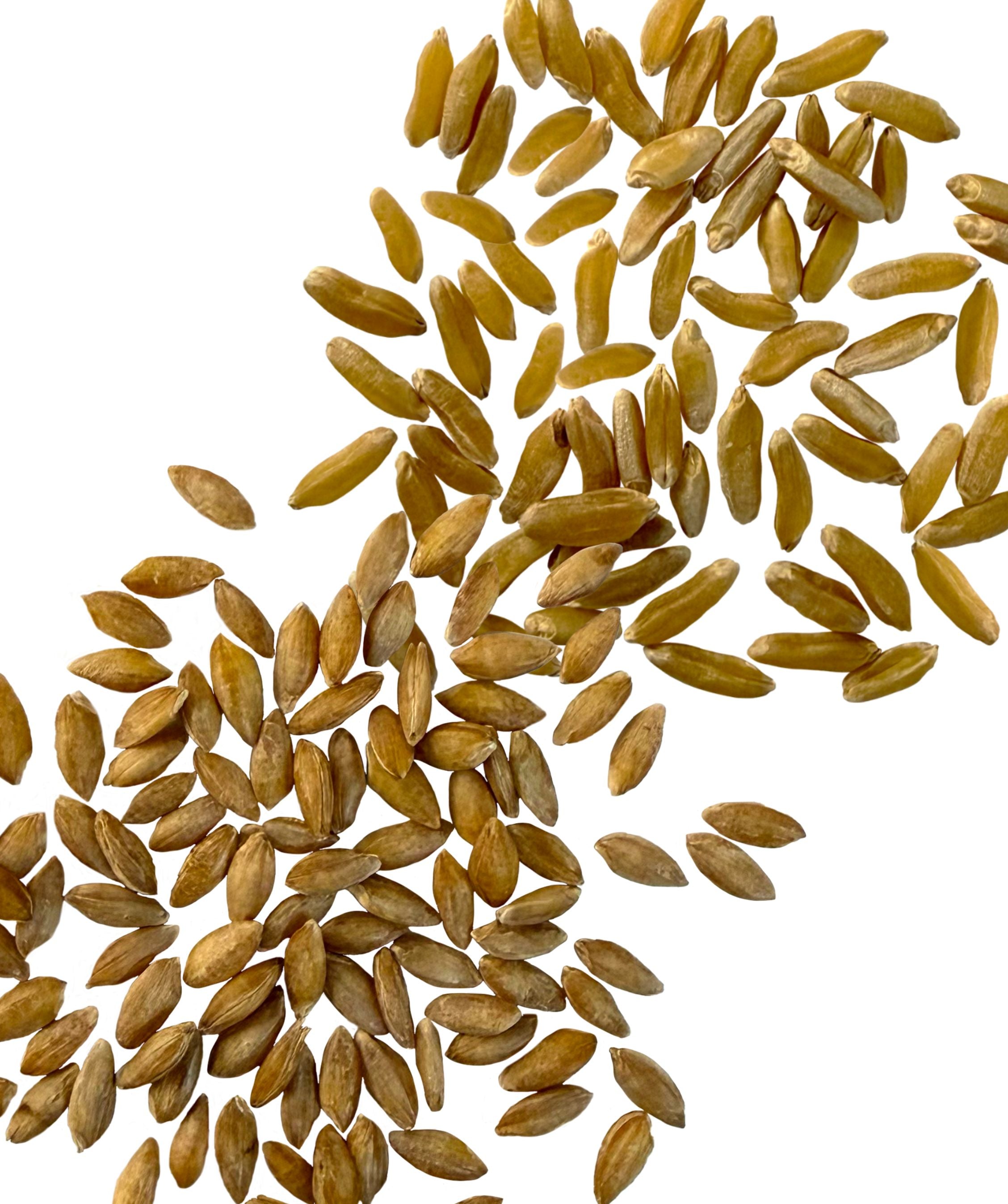Ancient Grains Bundle
