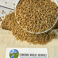 Ancient Grains Bundle