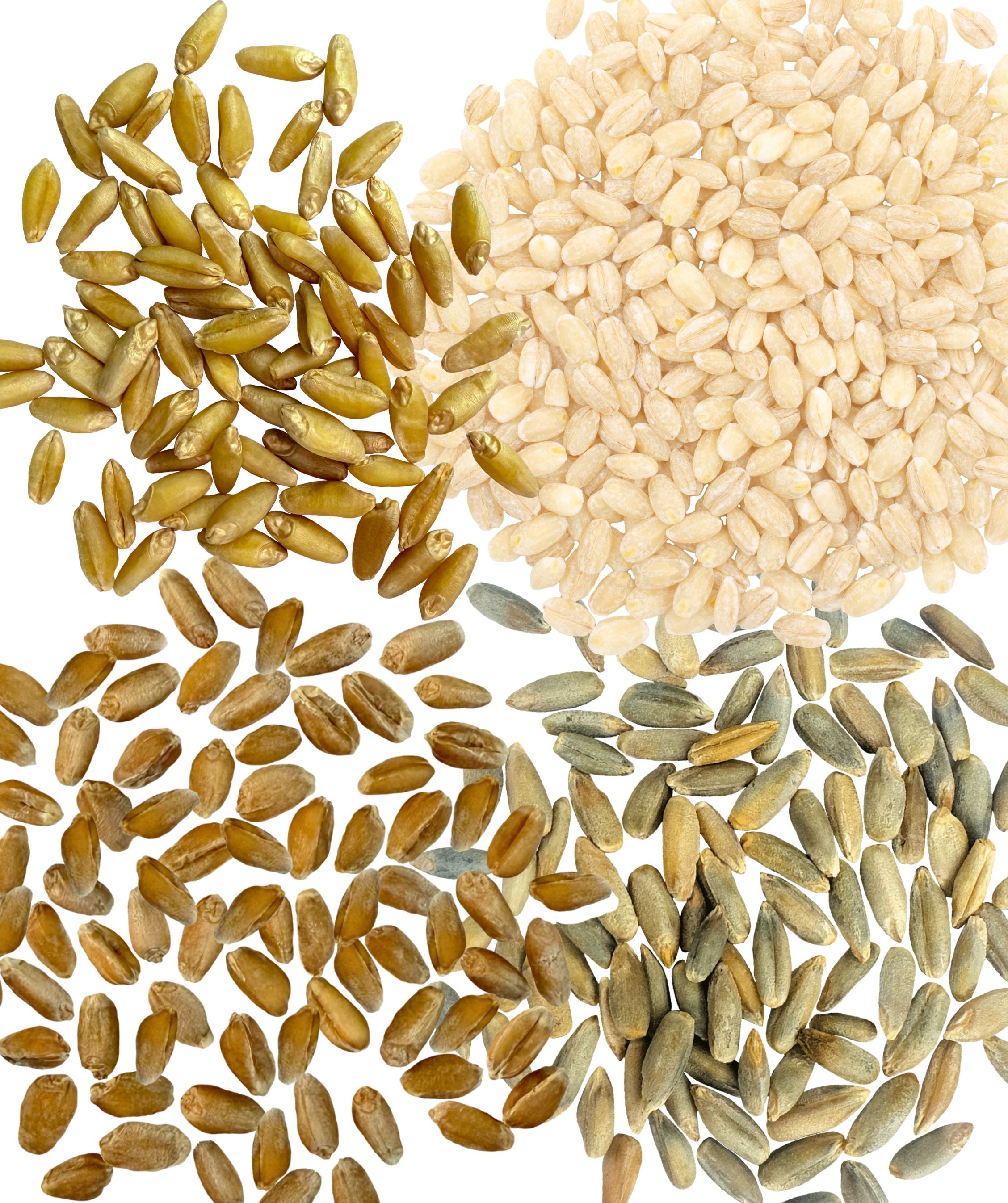 Small Grains Bundle