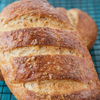 rye berries