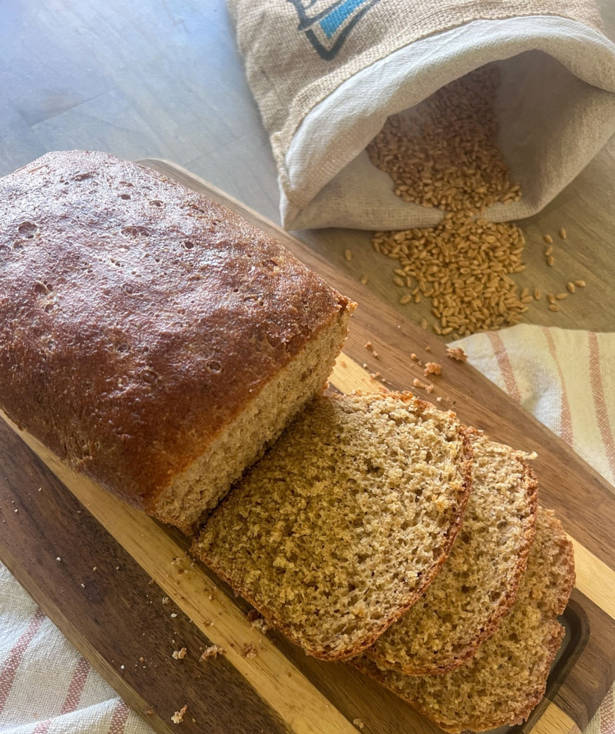 Hard White wheat Berries Bread Baking