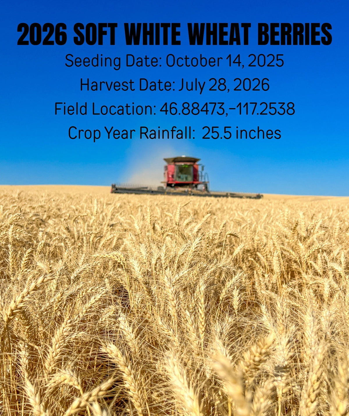 2026 soft white wheat berries field location