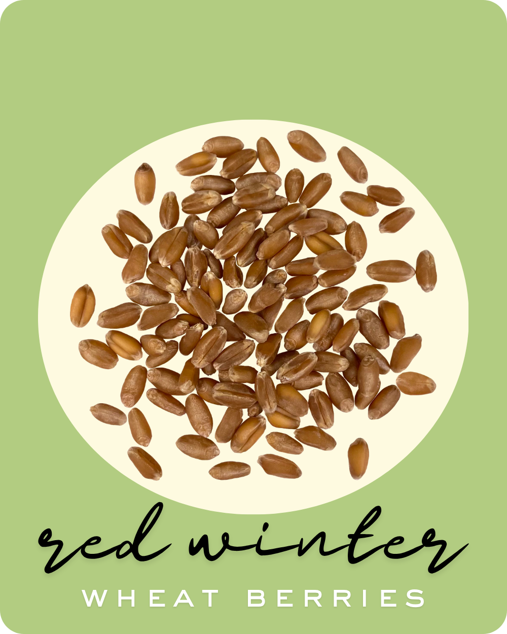 red winter wheat berries palouse brand
