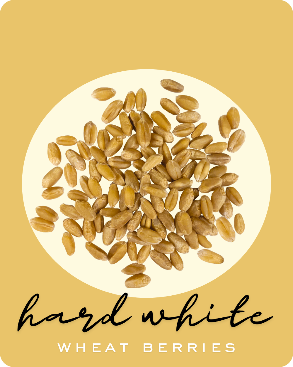 hard white wheat palouse brand