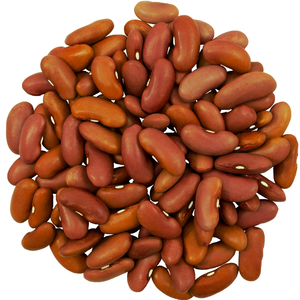 kidney beans