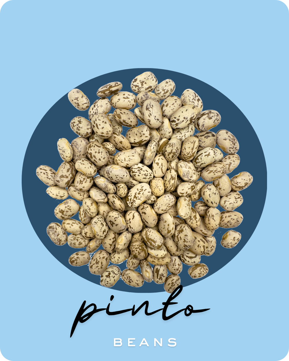 Pinto Beans Product Card