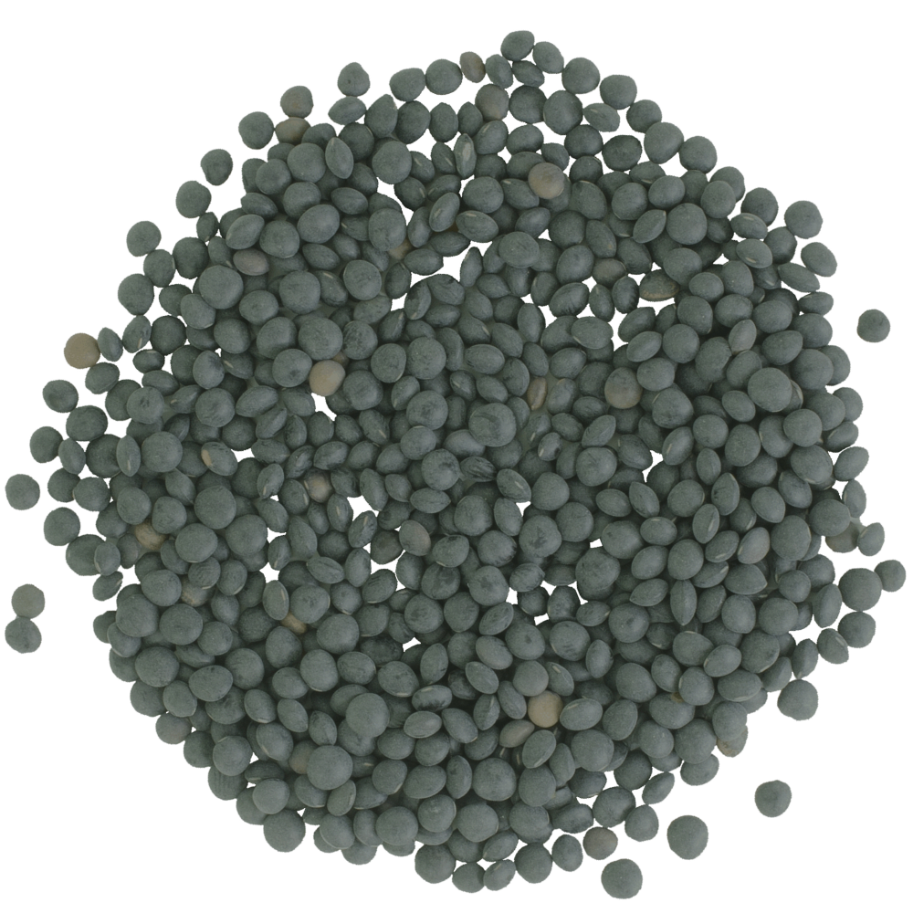 black lentils