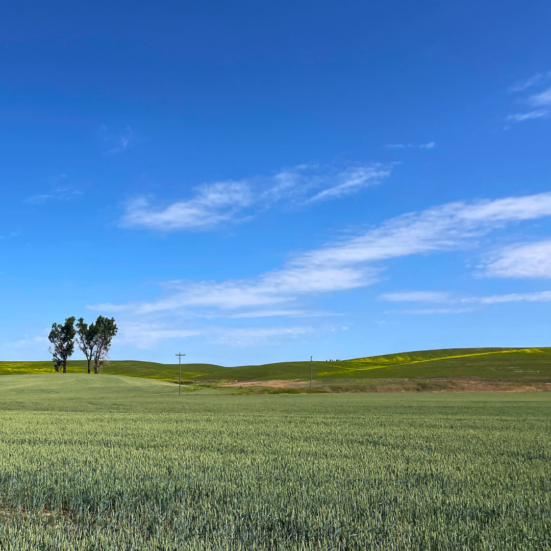 July Farm News, 2025