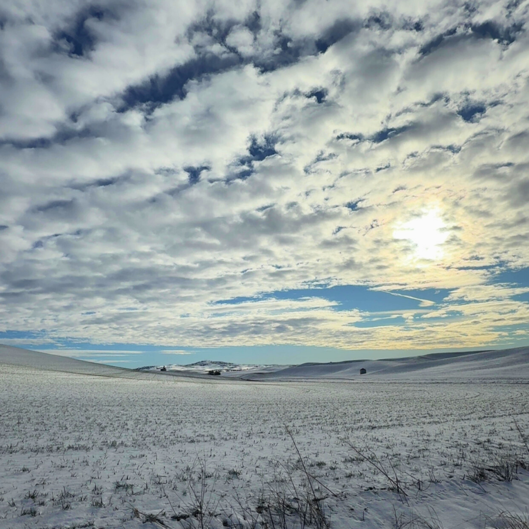 Sunshine, clouds, snowy field