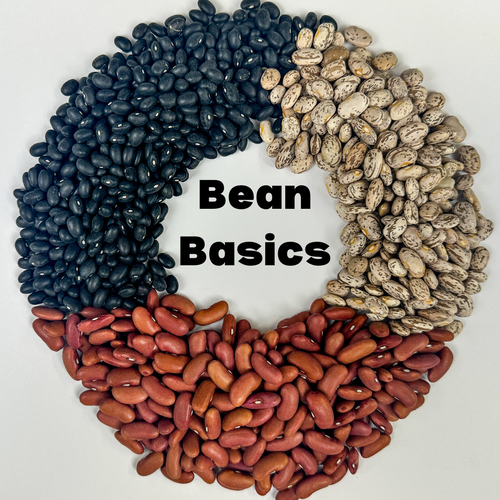 Bean Basics