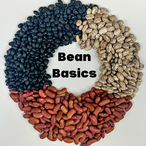 First Bean Bean Basics