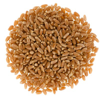 Bulk Red Spring Wheat Berries