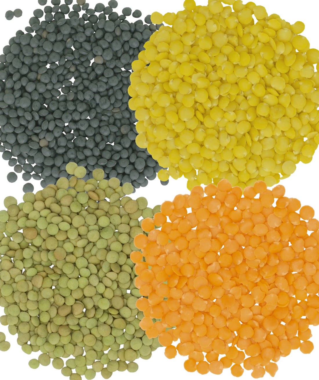 Golden, Green, Black, Red Lentils