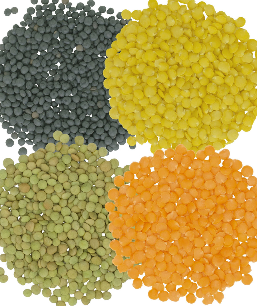 Bulk Lentil Variety