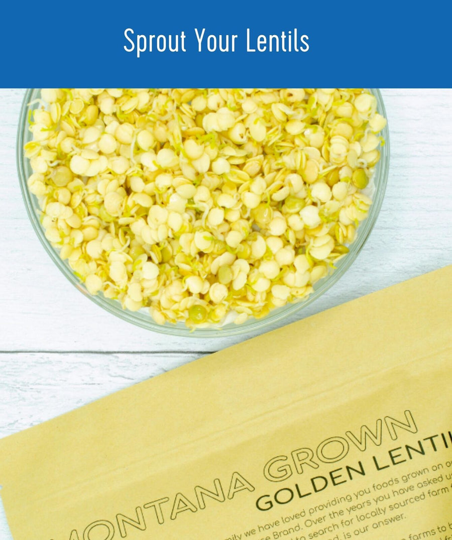 How to Sprout Yellow Lentils